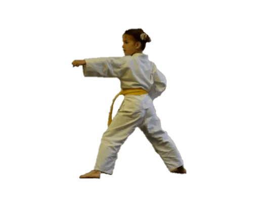 Kids Martial Arts