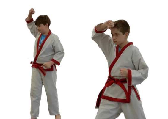 Tae Kwon Do